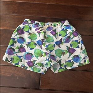 Colorful Fish Print Boys Swim Shorts seleni action. Boys 10